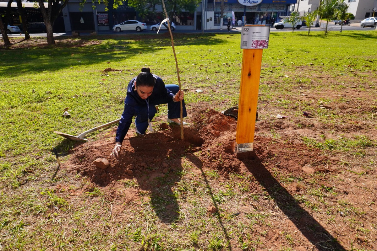 Grupo Athia faz plantio de árvores pelo projeto "100 anos, 100 árvores" — foto 4