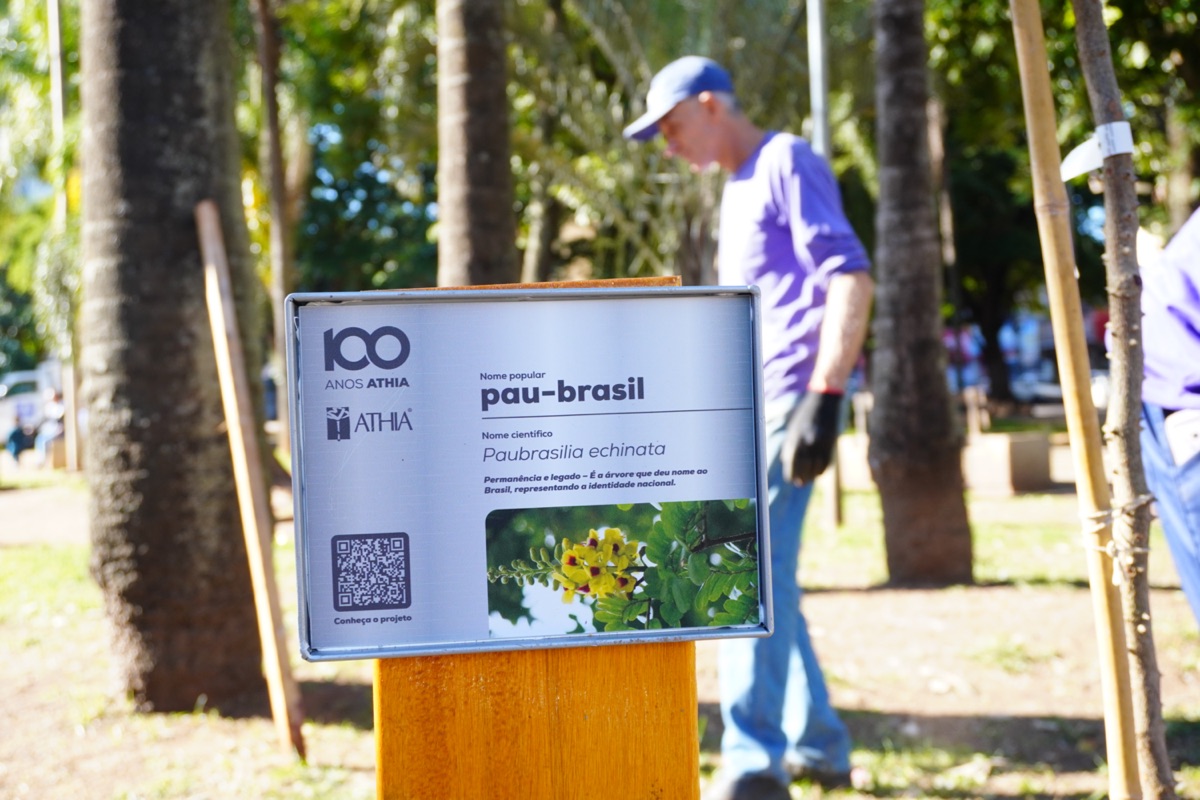 A&ccedil;&atilde;o 100 Anos 100 &Aacute;rvores